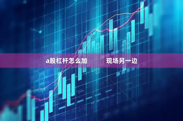 a股杠杆怎么加           现场另一边