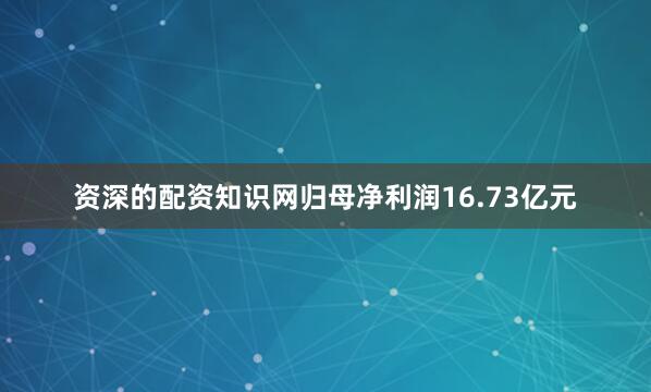 资深的配资知识网归母净利润16.73亿元
