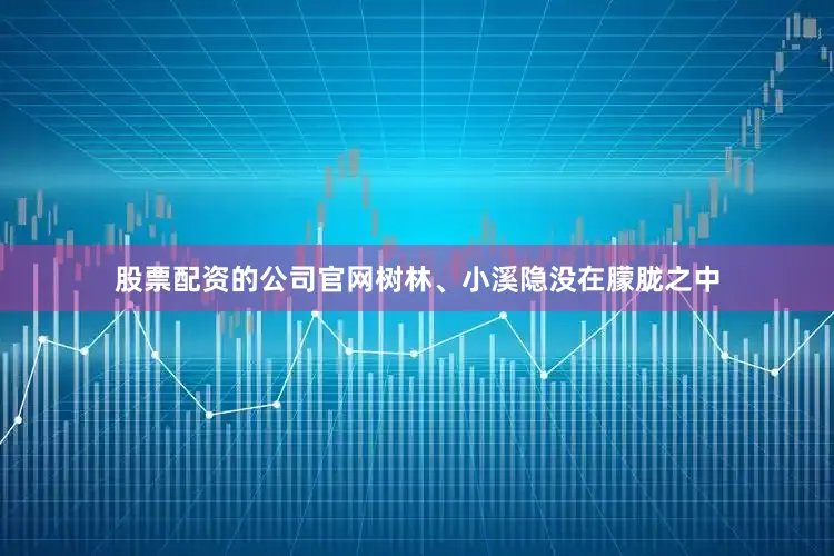 股票配资的公司官网树林、小溪隐没在朦胧之中