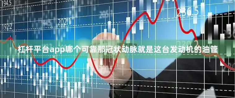 杠杆平台app哪个可靠那冠状动脉就是这台发动机的油管